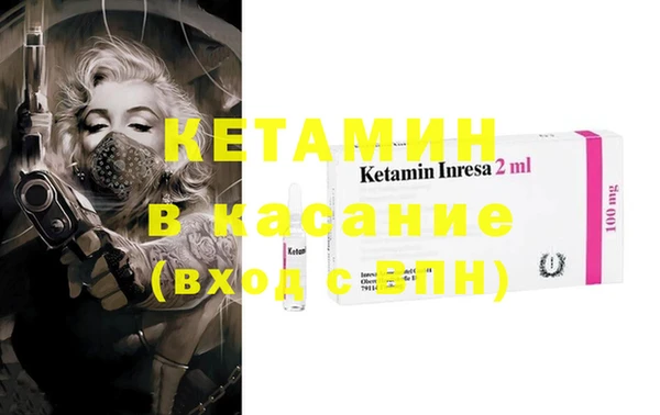 индика Алзамай