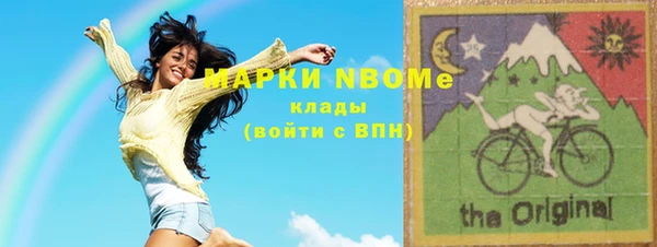 индика Алзамай
