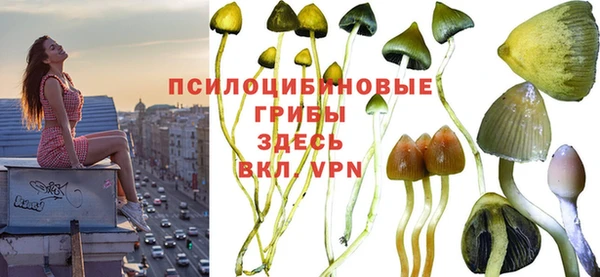 МДПВ Наволоки