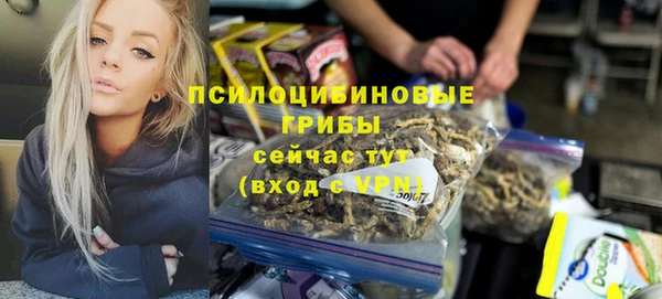 ПСИЛОЦИБИНОВЫЕ ГРИБЫ Абаза