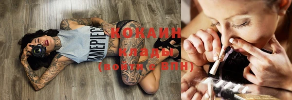 индика Алзамай