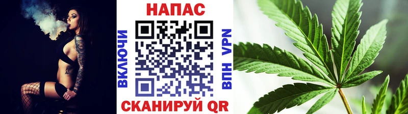 где найти наркотики Александровск-Сахалинский Конопля конопля